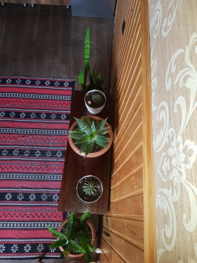 Hotel Cozy House Kazbegi Exterior foto