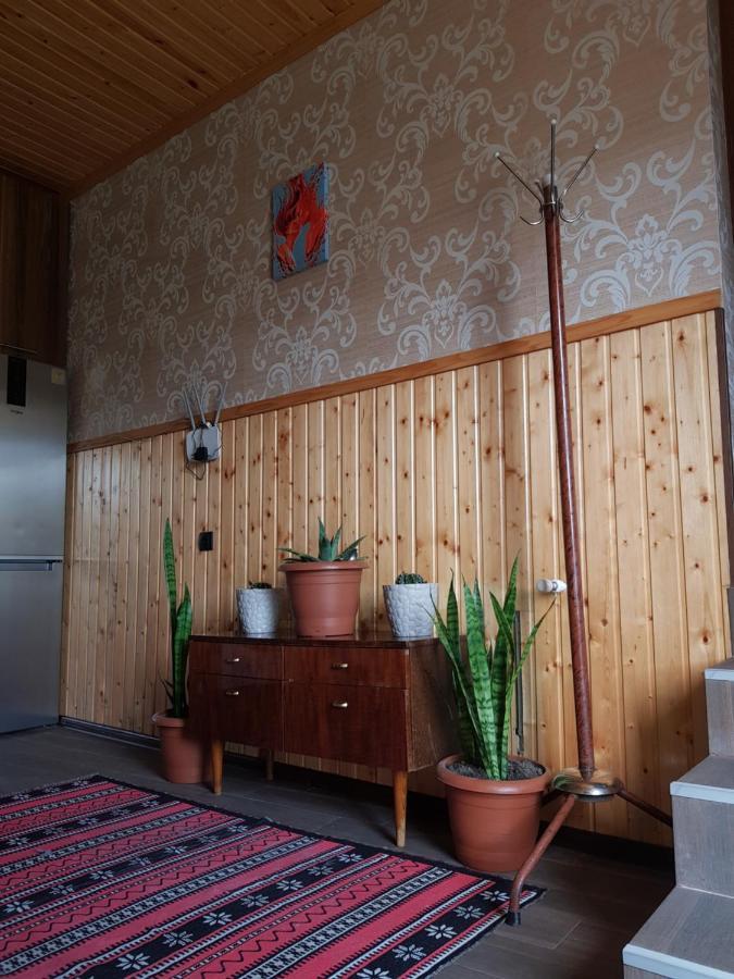 Hotel Cozy House Kazbegi Exterior foto